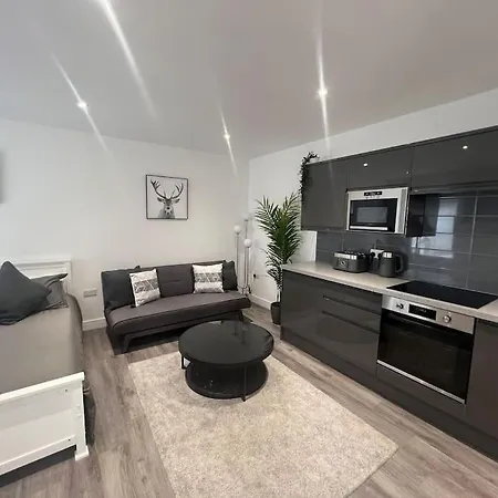Harrystoke 1 Bedroom Studio, Free Parking & Garden Apartment